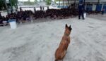 Binomio canino de la Guardia Estatal visita secundaria en Tampico