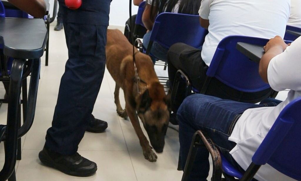 Binomios caninos realizan inspecciones en centros educativos