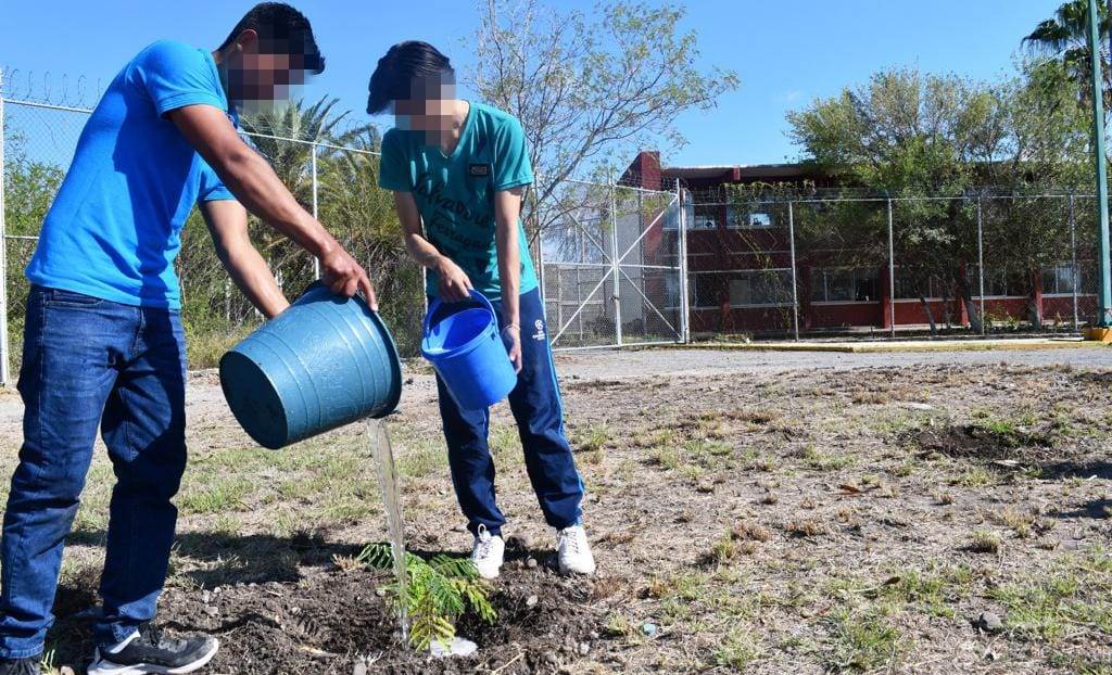 Adolescentes y sus familias reforestan Centro Regional de Ejecución de Medidas