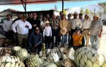 Promueven mezcal tamaulipeco en Puebla