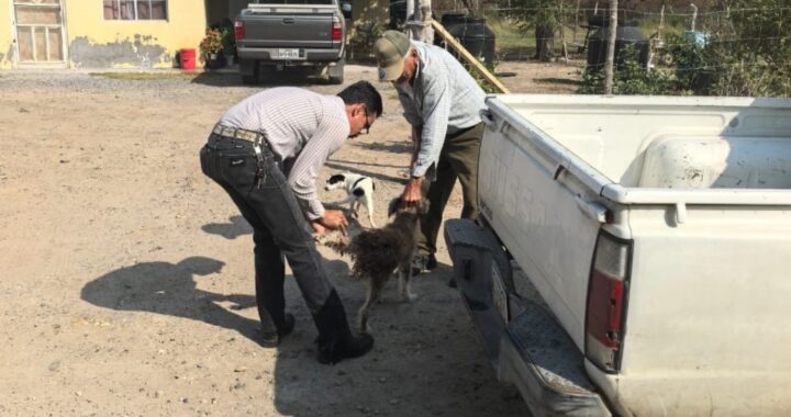 Promueve SST cultura del dueño responsable