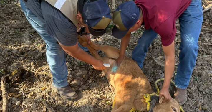 Acción inmediata y coordinación interinstitucional ante caso de GBG en Tamaulipas