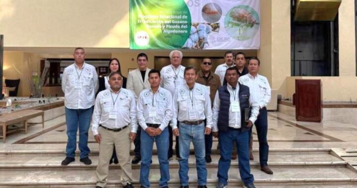 Participa Tamaulipas en reunión binacional para fortalecer la sanidad del algodón