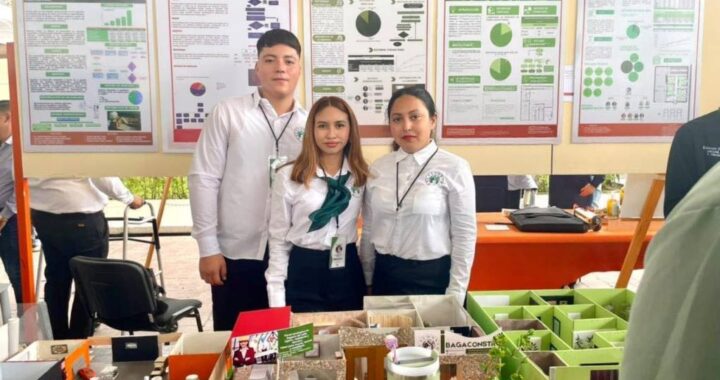 Innovación UAT: Crean panel de bagazo de caña para construcción