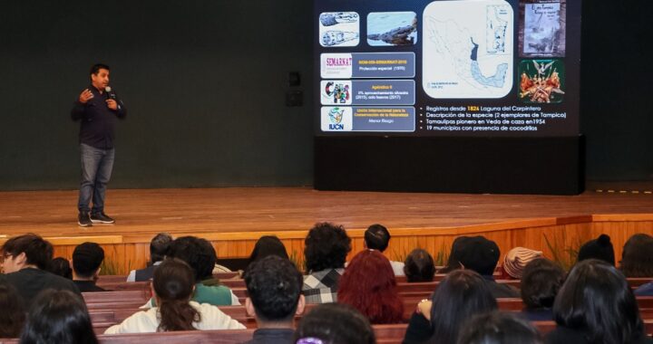 Analiza la UAT interacción humano-cocodrilo en el sur de Tamaulipas