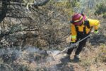 Refuerza Gobierno de Tamaulipas acciones coordinadas para el control de incendio forestal en Miquihuana