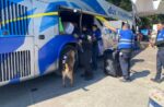 Guardia Estatal refuerza vigilancia con binomios caninos en la Central de Autobuses de Victoria