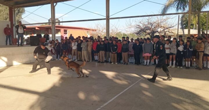 Con binomio canino antidrogas la Guardia Estatal refuerza la prevención en escuelas