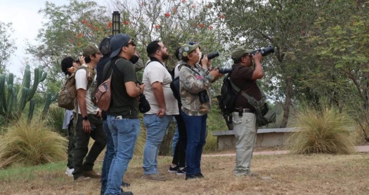 Reúne TAMUX a familias y estudiantes en experiencia de avistamiento de aves
