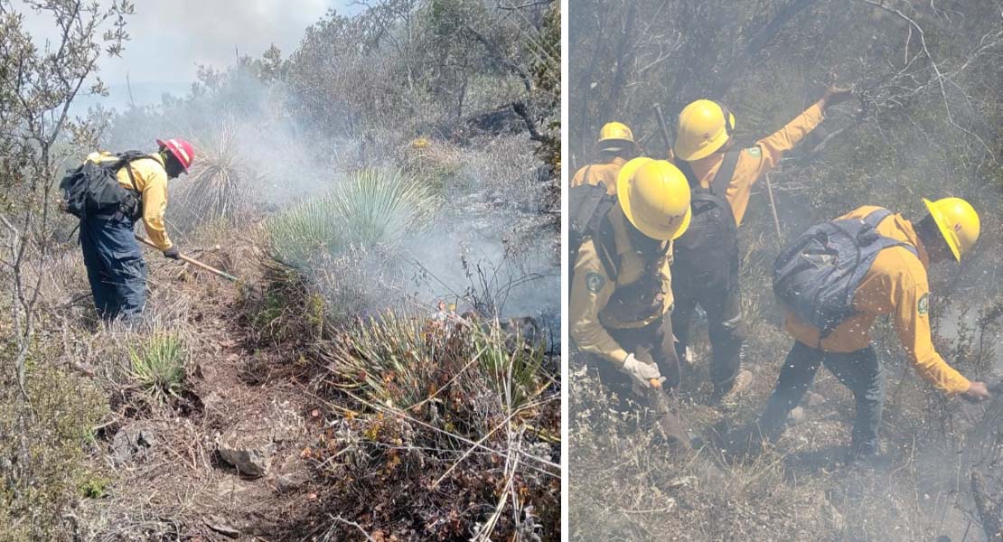 Continúan labores para el control y liquidación de incendio forestal en el Cerro El Tepozán