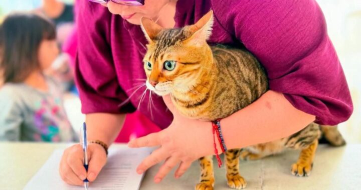 Promueve Gobierno de Reynosa salud animal en coordinación con Asociación Civil