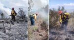 Tamaulipas logra la liquidación total del incendio forestal en Bustamante