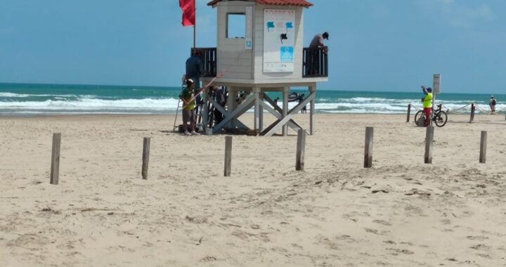 Fortalece Tamaulipas vigilancia ambiental ante presencia de hidrocarburos en costas de la zona sur