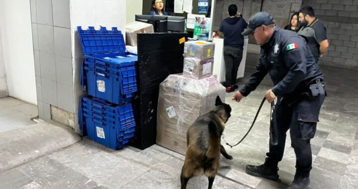 Realiza Agrupamiento Canino de la Guardia Estatal operativo para detectar narcóticos en Central de Autobuses