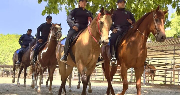 Con más de 5 mil guardianes, Tamaulipas seguro te espera