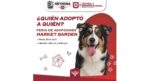Feria de Adopciones brinda segunda oportunidad a mascotas que buscan hogar