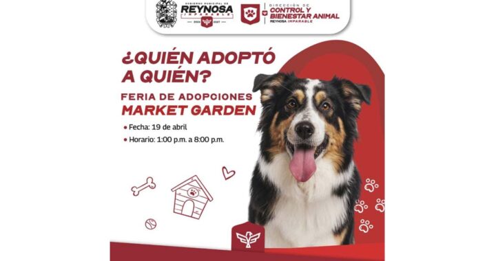 Feria de Adopciones brinda segunda oportunidad a mascotas que buscan hogar