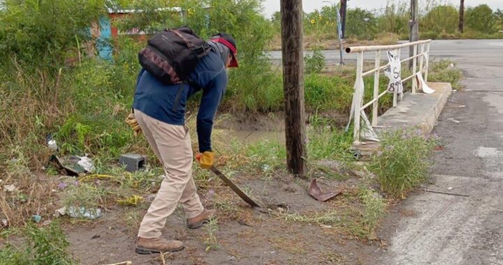 Desarrolla Gobierno de Carlos Peña Ortiz trabajo de limpieza y mantenimiento en Reynosa