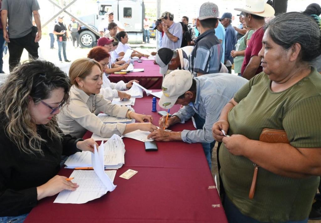 Impulsan productividad citrícola con apertura del Programa S107 2026