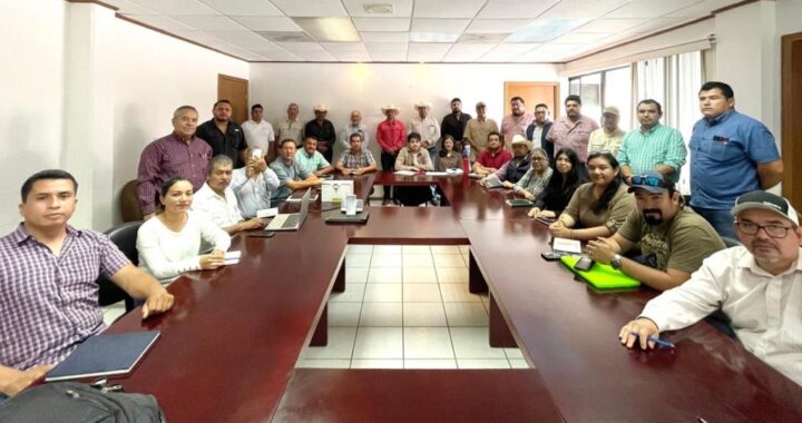 Actualización de extensionistas, clave para detección temprana de la plaga