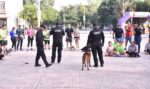 Con más de tres mil acciones operativas y de proximidad, el Agrupamiento Canino de la Guardia Estatal fortalece la prevención y combate al delito en Tamaulipas
