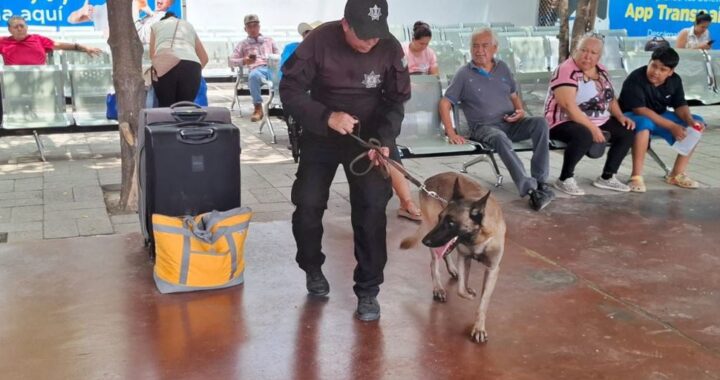 Fortalece Guardia Estatal vigilancia en central de autobuses