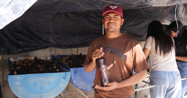Desarrolla la UAT biofertilizantes líquidos a partir de lombricomposta