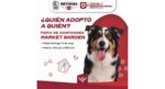 Invita el Presidente Carlos Peña Ortiz a la Feria de Adopciones hoy domingo 24 de mayo