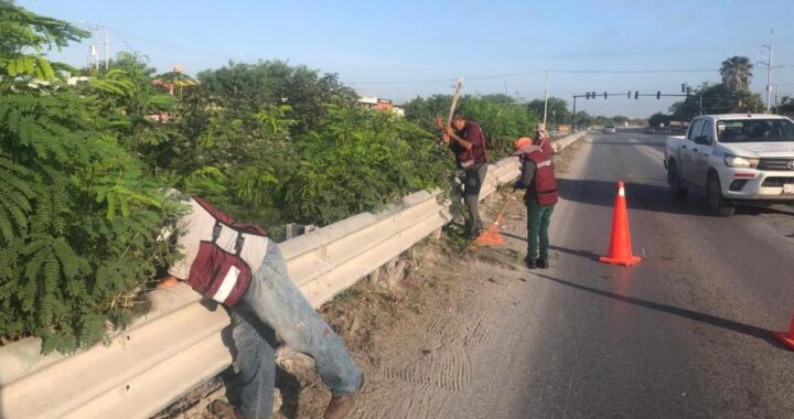 Instalación y mantenimiento de defensas metálicas para seguridad de automovilistas