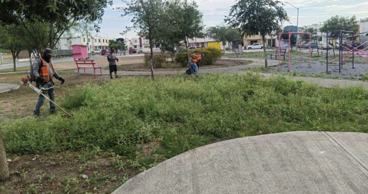 Realiza Gobierno de Reynosa limpieza y mantenimiento de áreas públicas