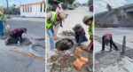 Reemplazó COMAPA tapas de alcantarilla en diversos puntos de la ciudad