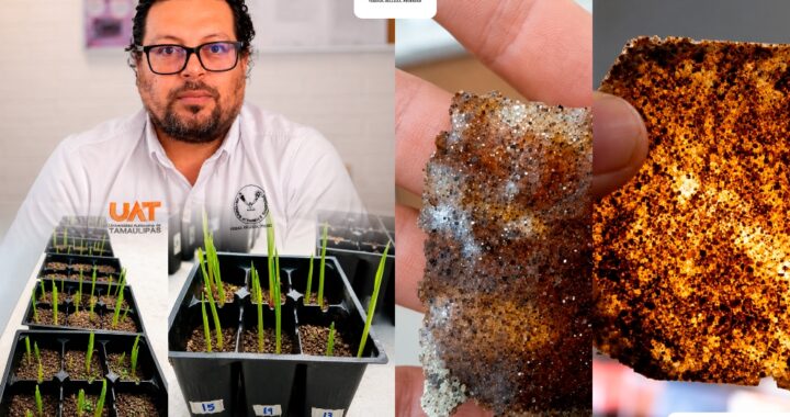 Patenta la UAT bioplásticos que recuperan suelos erosionados