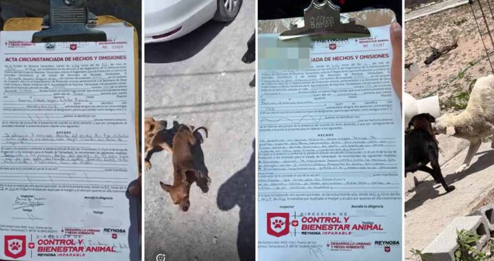 Atendió Control y Bienestar Animal atendió reportes en Las Cumbres y Ernesto Zedillo
