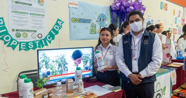 Desarrolla alumna de la UAT biopesticida que elimina plagas agrícolas