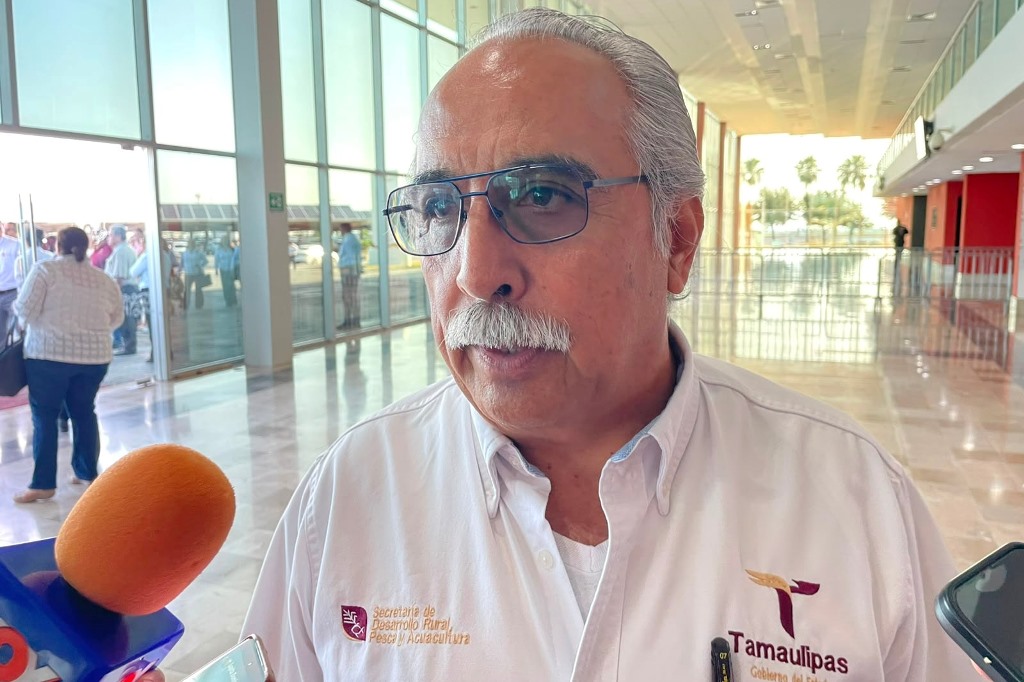 Registra Tamaulipas disminución de casos de gusano barrenador