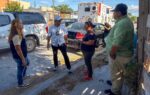 Rescató Gobierno de Carlos Peña Ortiz dos caninos en Arecas
