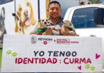Promueve Gobierno de Carlos Peña Ortiz la identificación responsable de mascotas en Villa Esmeralda