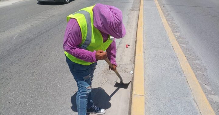 Intensa semana de trabajo de Servicios Públicos en colonias de Reynosa