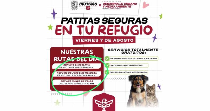 Patitas Seguras va de gira, visitará albergues de animales en Reynosa
