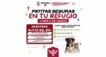 Brindará Gobierno de Reynosa atención veterinaria gratuita a más refugios