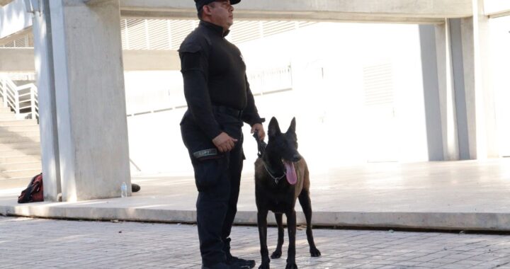 Obtienen binomios K-9 de la Guardia Estatal primeros lugares de su especialidad en certificación canina