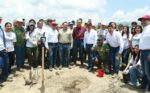Tamaulipas participa en Jornada Nacional de Reforestación; se plantarán 15 mil árboles: Américo