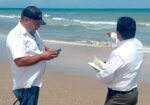 Refuerzan vigilancia y protección de tortugas marinas en campamentos de Tamaulipas
