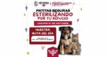 Llevará a cabo Patitas Seguras esterilización de mascotas del Refugio Jayu