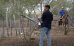Intensifica Tamaulipas acciones de control en predios afectados por gusano barrenador