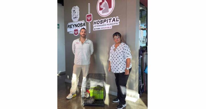 Liberó Control y Bienestar Animal a una zarigüeya en su hábitat natural