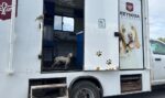 Rescató Dirección de Control y Bienestar Animal a canino lesionado en la carretera Calzada Victoria