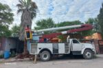 Realiza Gobierno de Reynosa poda preventiva de árboles y palmeras en diversos sectores de la ciudad